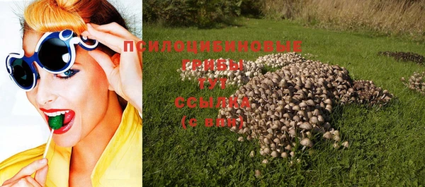 COCAINE Гусиноозёрск