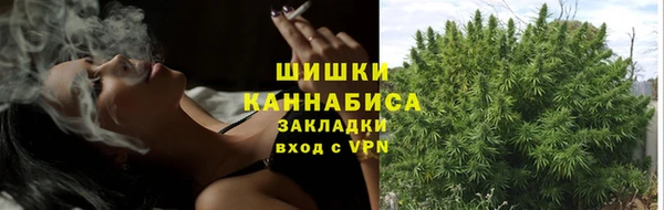 COCAINE Гусиноозёрск