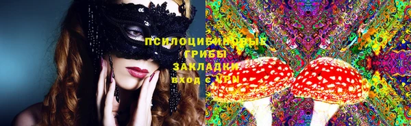 прущие крисы Гусев