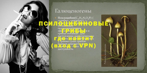 прущие крисы Гусев