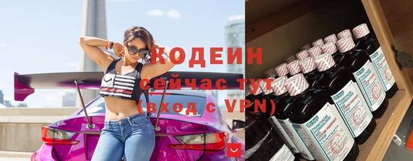 прущие крисы Гусев