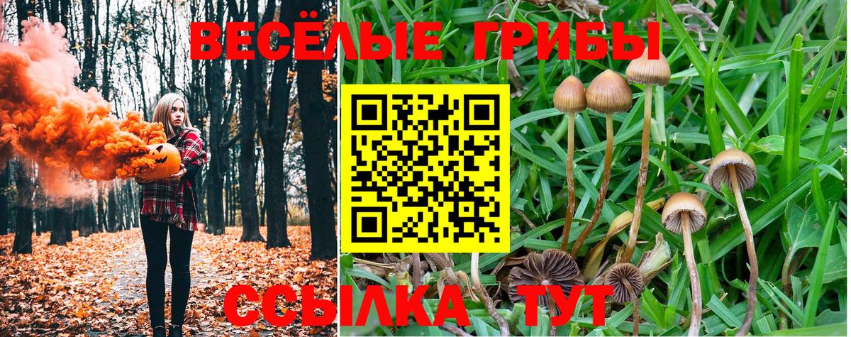 даркнет сайт  Галлюциногенные грибы MAGIC MUSHROOMS  Вход с VPN  Россия 