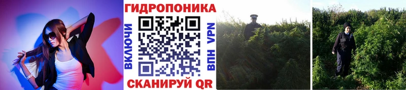 даркнет сайт  Липецк  МАРИХУАНА Bruce Banner 